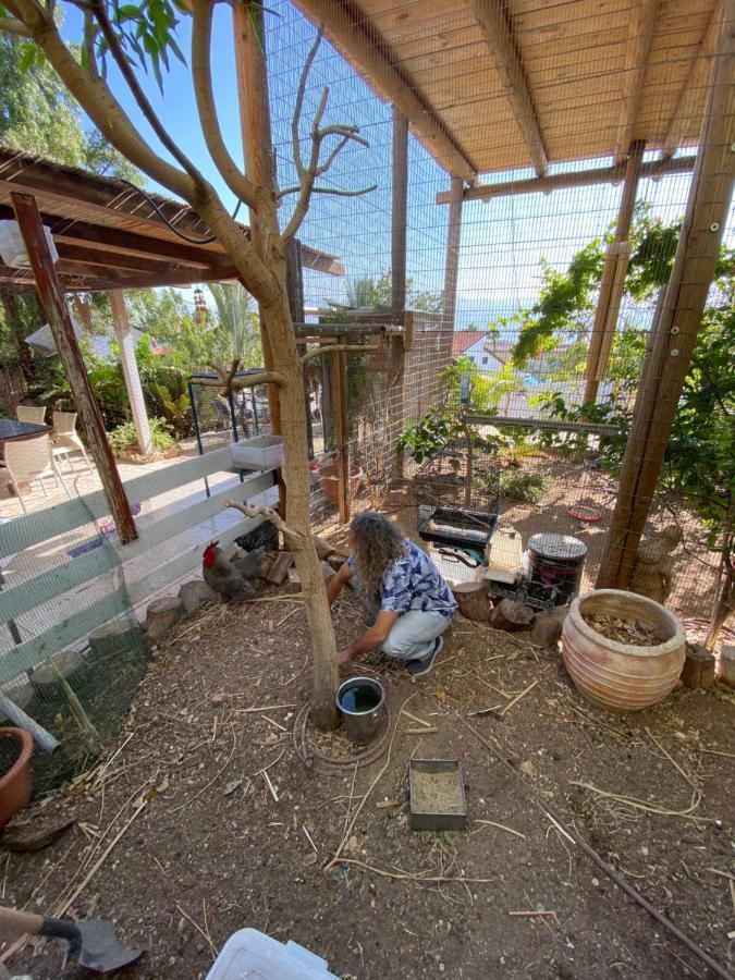 Las Palmas Eilat Dış mekan fotoğraf